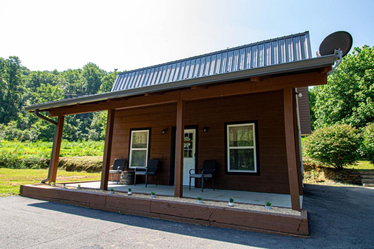 Mountain Haven Dragon'S Nest Cabin Robbinsville Kültér fotó